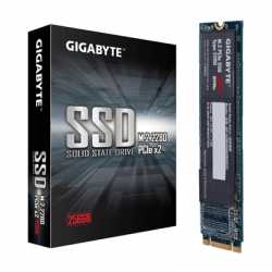 Gigabyte 256GB M.2 2280 SATA III PCIe NVMe SSD