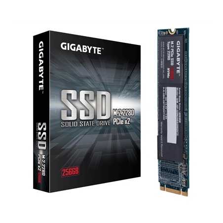 Gigabyte 256GB M.2 2280 SATA III PCIe NVMe SSD
