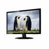 Hanns G HE225DPB 21.5" LED DVI Monitor With Speakers