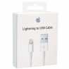 Apple 1m Lightning to USB Cable