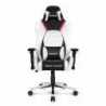 AKRacing Masters Series Premium Gaming Chair, Arctica, 5/10 Year Warranty