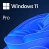 Microsoft Windows 11 Professional 64bit English OEI DVD Operating Software OEM