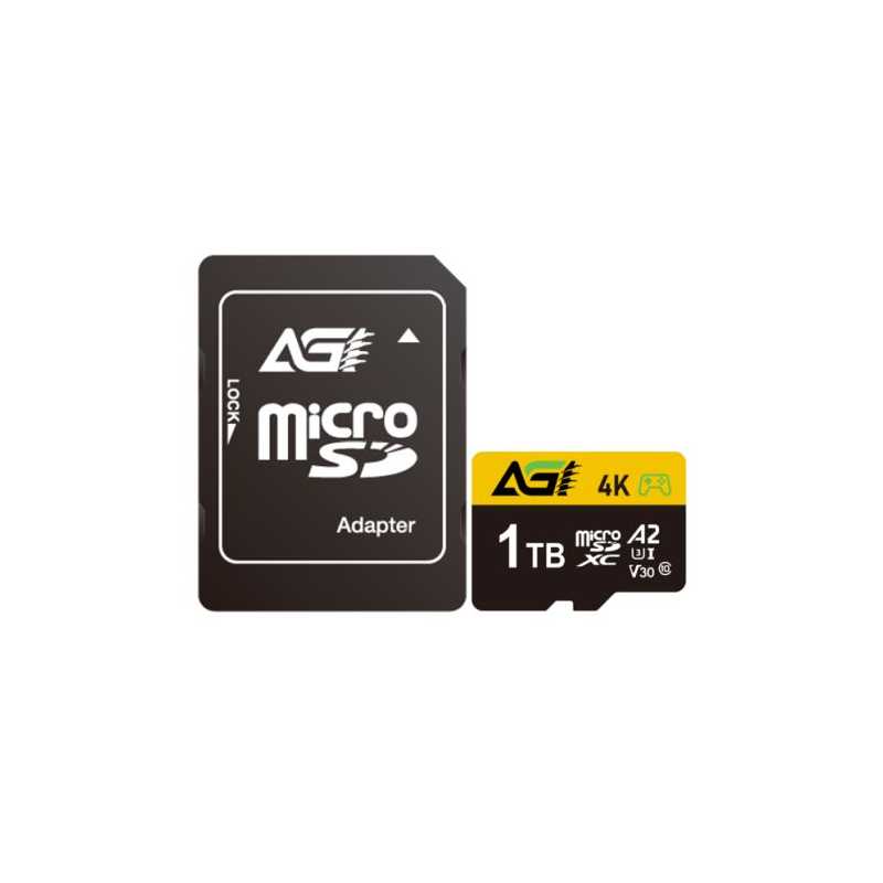 AGI 1TB TF138 Micro SDXC Card with SD Adapter, UHS-I Cass 10 / V30 / A2 App Performance