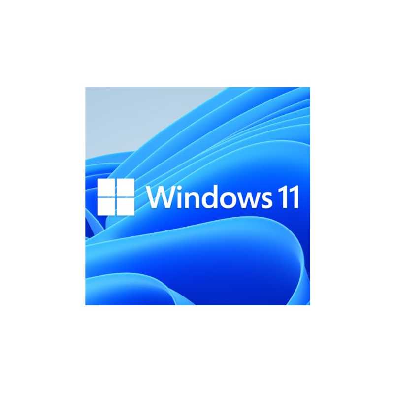 Microsoft Windows 11 Home 64bit English OEI DVD Operating Software