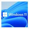 Microsoft Windows 11 Professional 64bit English OEI DVD Operating Software OEM