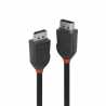 LINDY 36492 Black Line DisplayPort Cable, DisplayPort 1.2 (M) to DisplayPort 1.2 (M), 3m, Black & Red, Supports UHD Resolutions 