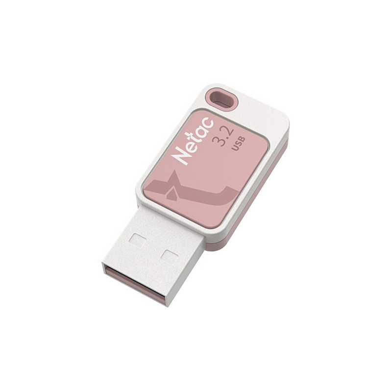 Netac 256GB USB 3.2 Memory Pen, UA31, Software Encryption, Key Ring, Smoothies Pink