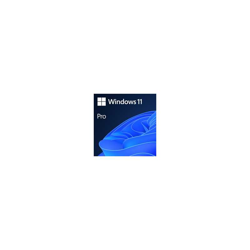 Microsoft Windows 11 Professional 64bit English OEI DVD Operating Software OEM