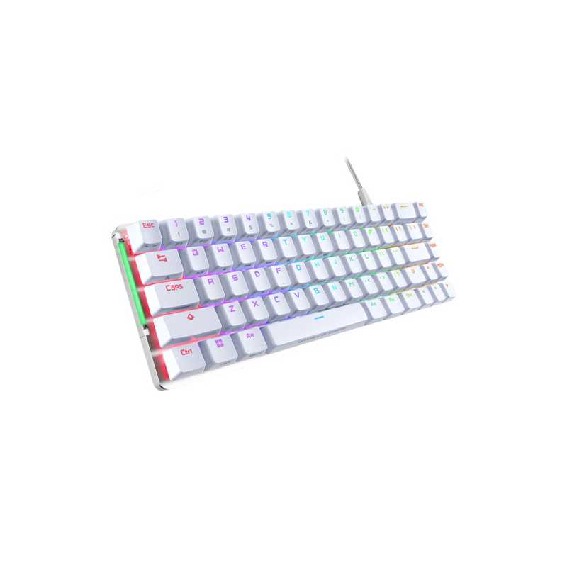 Asus ROG FALCHION ACE Compact 65% Mechanical RGB Gaming Keyboard, Wired (Dual USB-C), ROG NX Red Switches, Per-key RGB Lighting,