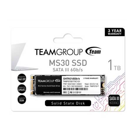 Team MS30 1TB M.2 SATA SSD