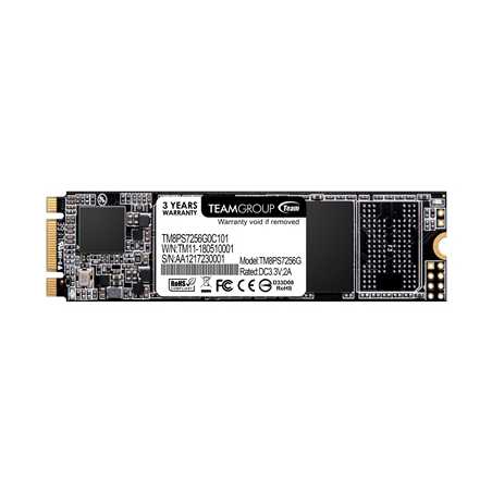 Team MS30 256GB M.2 2280 SATA III SSD