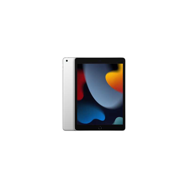 Apple iPad 9th Gen, 10.2 Inch Screen, 256GB, Wi-Fi, Silver