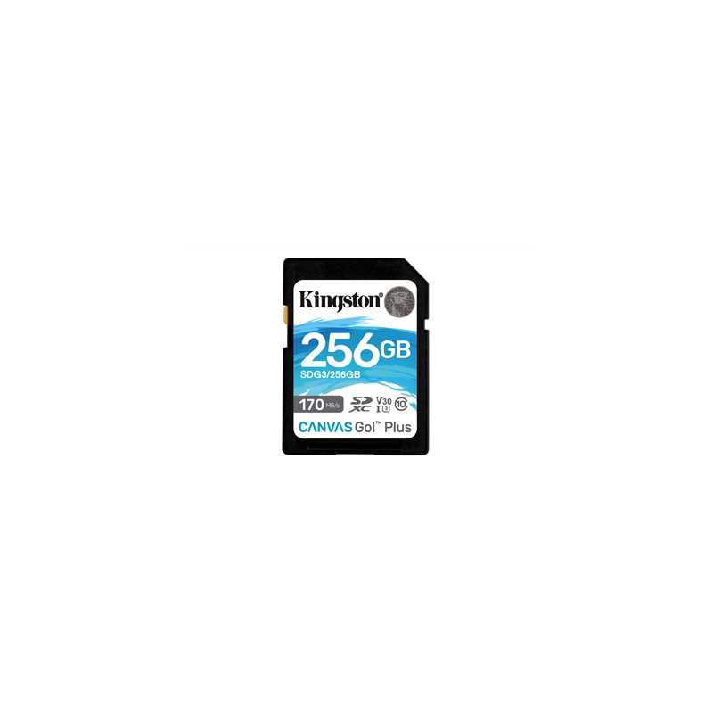 Kingston Canvas Go! Plus SDCG3/256GB 256GB Micro SD Card, UHS-1 (U3)