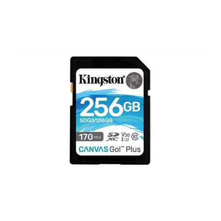 Kingston Canvas Go! Plus SDCG3/256GB 256GB Micro SD Card, UHS-1 (U3)