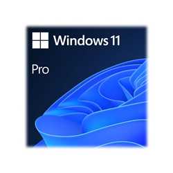 Microsoft Windows 11 Professional 64bit English USB Flash Drive