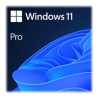 Microsoft Windows 11 Professional 64bit English USB Flash Drive