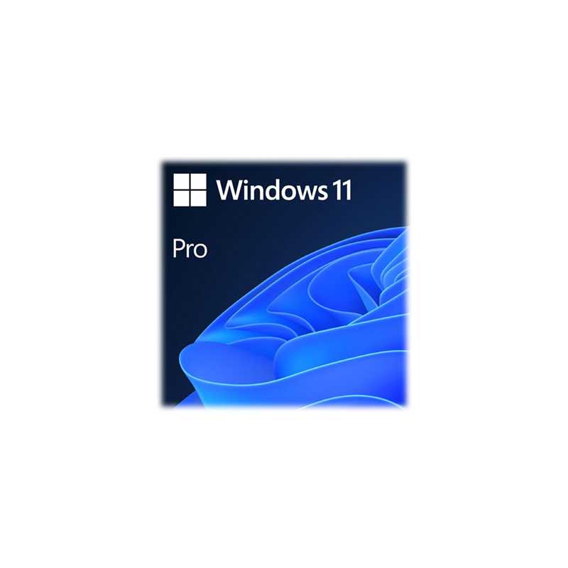 Microsoft Windows 11 Professional 64bit English USB Flash Drive