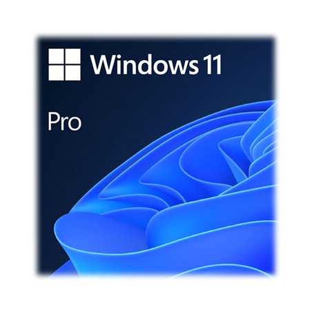 Microsoft Windows 11 Professional 64bit English USB Flash Drive