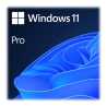 Microsoft Windows 11 Professional 64bit English USB Flash Drive