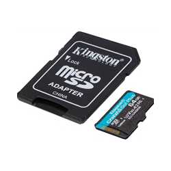 Kingston Canvas Go! Plus SDCG4/256GB 256GB Micro SD Card, UHS-1 (U3)