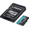 Kingston Canvas Go! Plus SDCG4/256GB 256GB Micro SD Card, UHS-1 (U3)