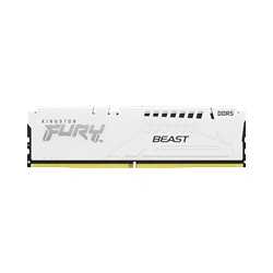 Kingston Fury Beast (KF560C36BWE2K2-32)  32GB (14GB x2) DDR5 6000MHz DIMM RGB System Memory