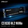 PNY (M280CS1030-500-RB) CS1030 M.2 NVMe 2TB SSD, PCIe Gen3 x4, Sequential Read of up to 2,000 MB/s and Write of up to 1,100 MB/s