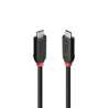 Lindy Black Line 37002 2m USB4 240W Cable, 24 pin USB-C (M) to 24 pin USB-C (M)