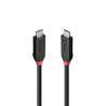 Lindy Black Line 37002 2m USB4 240W Cable, 24 pin USB-C (M) to 24 pin USB-C (M)
