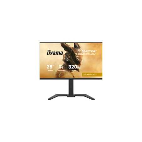 iiyama G-Master GB2591HSU-B1 24.5-Inch Fast IPS LCD, 1920x1080, up to 320Hz, 350 cd/m2 Brightness, 0.4ms MPRT , 2 x HDMI 2.1 + 1