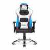AKRacing Masters Series Premium Gaming Chair, Tricolour, 5/10 Year Warranty