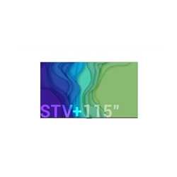 Newline STV-6524+ 65" STV+ Series, 4K, Android 14, Cast+, Digital Signage Display (Non-Touch)