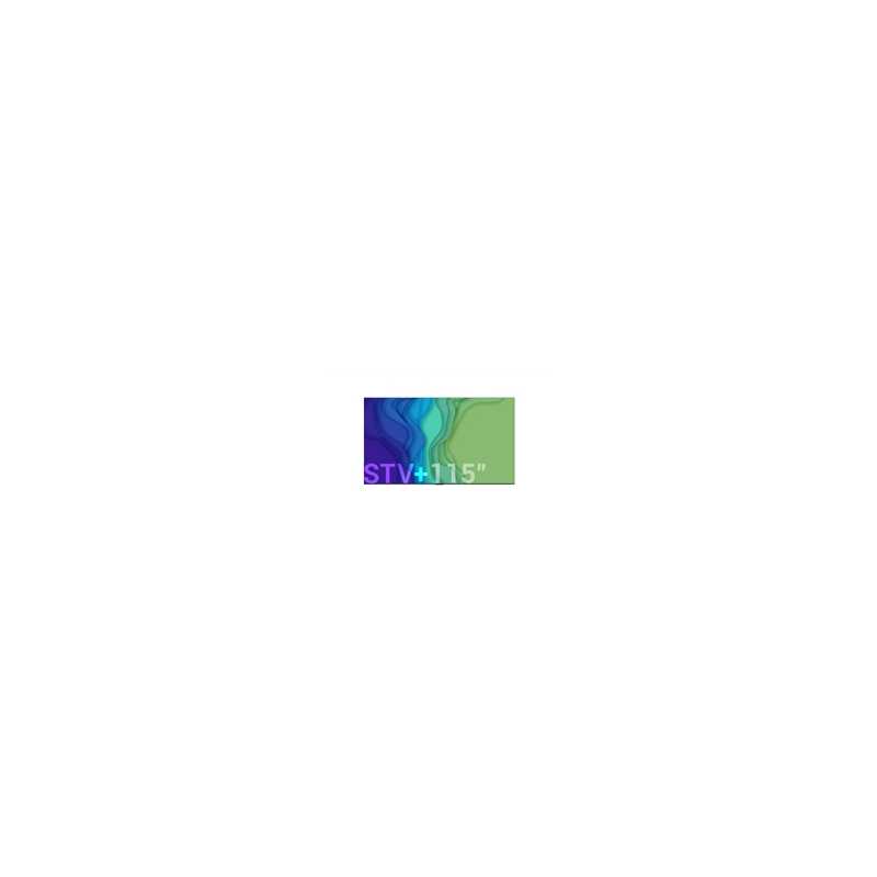 Newline STV-6524+ 65" STV+ Series, 4K, Android 14, Cast+, Digital Signage Display (Non-Touch)