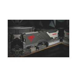 Patriot Viper Venom (PVV516G600C36)  U-DIMM  DDR%System Memory,16GB, 6000MHz, CL36, XMP 3.0-Ready (up to 14th Gen Intel Core CPU