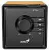 Genius SP-916BT One-piece Bluetooth Wood Speaker, Bluetooth 5.3, Built in Mic, USB-C Charging