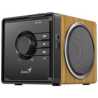 Genius SP-916BT One-piece Bluetooth Wood Speaker, Bluetooth 5.3, Built in Mic, USB-C Charging